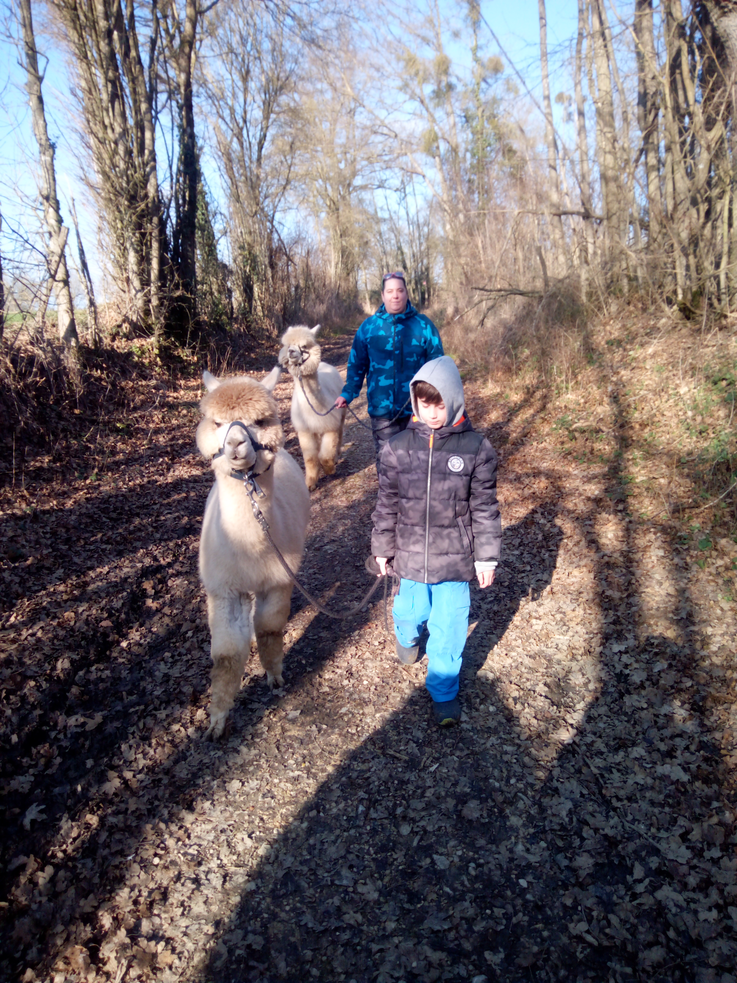 Photo n° 9 de l'avis de virginie.u fait le 22/01/2022 à 17:29