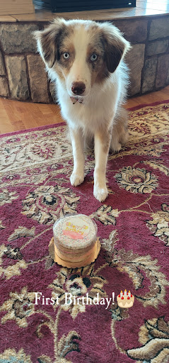 Pet Supply Store «Brown Dog Bakery», reviews and photos, 2310 SE Delaware Ave, Ankeny, IA 50021, USA