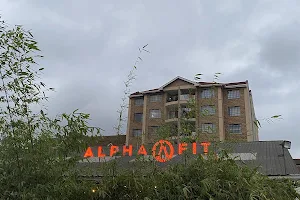 Alpha Fit image
