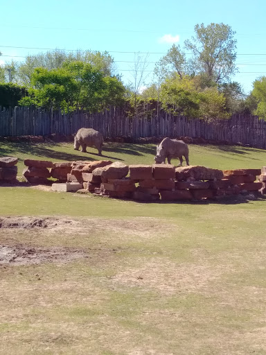 Zoo «Tulsa Zoo», reviews and photos, 6421 E 36th St N, Tulsa, OK 74115, USA