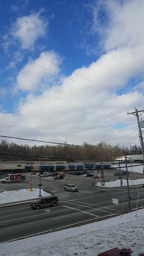 Pet Store «We Love Pets», reviews and photos, 1433 Coshocton Ave, Mt Vernon, OH 43050, USA