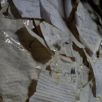 Photo n°2 de l'avis de Camelia. fait le 16/02/2023 à 09:05 sur le  Restaurante Zé Manel dos Ossos à Coimbra