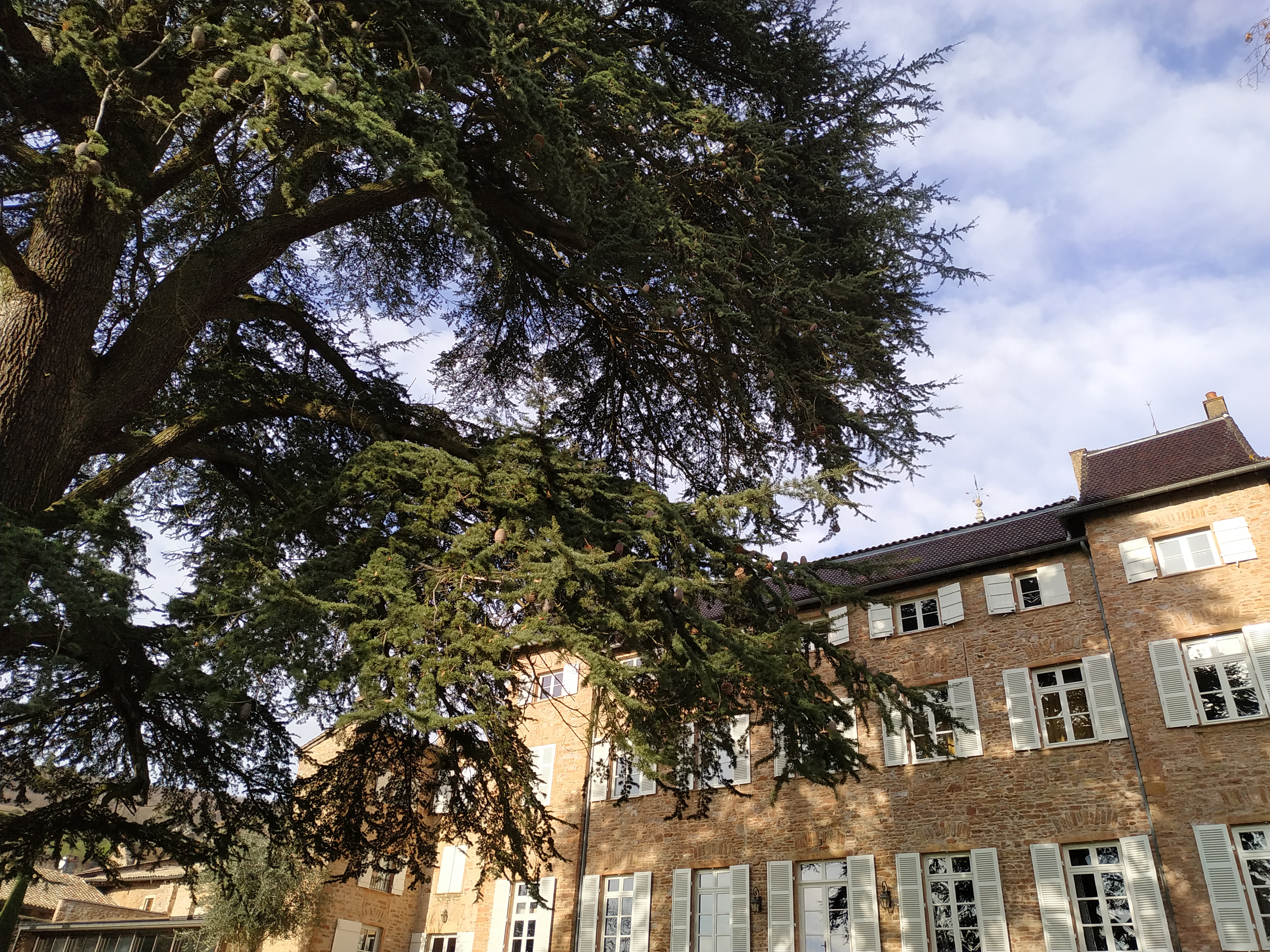 Photo n° 2 de l'avis de Al.o fait le 09/12/2019 à 10:27