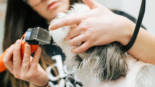 Pet Supply Store «Dogge Style Pets Passyunk», reviews and photos, 1700 E Passyunk Ave, Philadelphia, PA 19148, USA