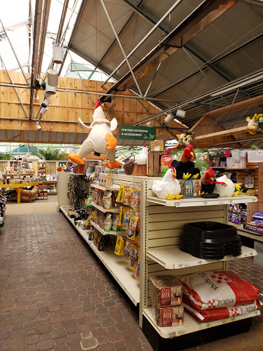 Garden Center «Homestead Gardens», reviews and photos, 743 Central Ave, Davidsonville, MD 21035, USA