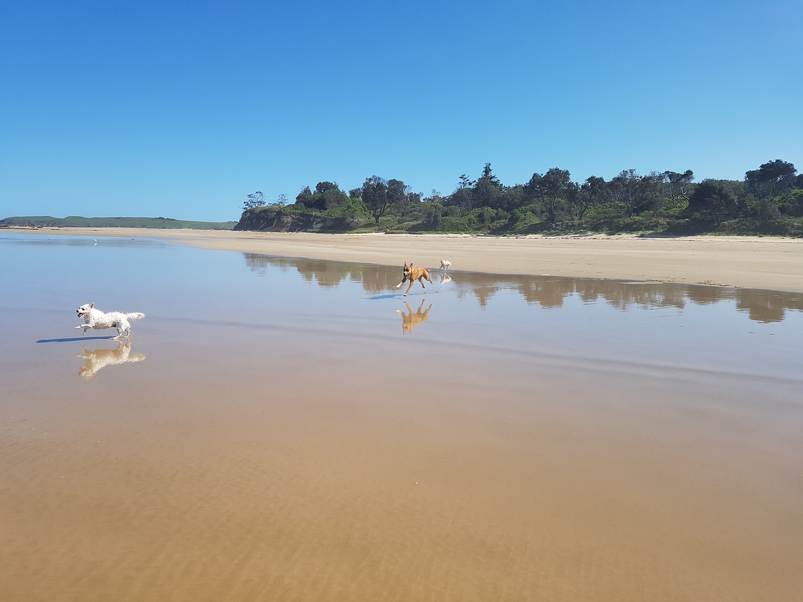 Woolgoolga Back Beach的照片 - 受到放松专家欢迎的热门地点