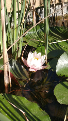 Park «Ernest E. Debs Regional Park», reviews and photos, 4235 Monterey Rd, Los Angeles, CA 90032, USA