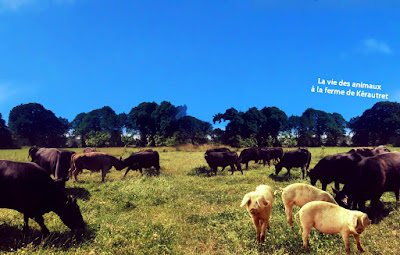 La Ferme De Kérautret à Tréméoc