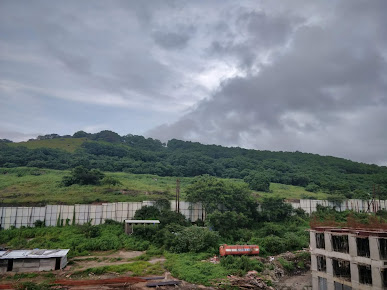 Google Maps image 29