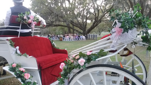 Wedding Venue «Lange Farm», reviews and photos, 33520 Lange Farm Rd, Dade City, FL 33525, USA