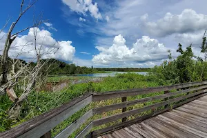 Lake Lotus image