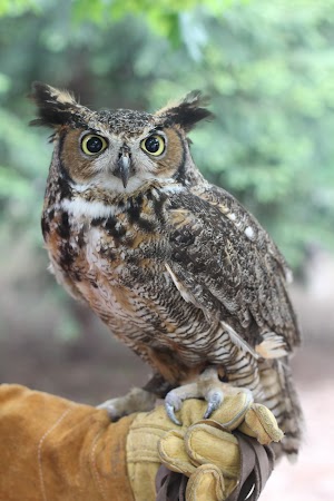 Cosley Zoo - photo 38