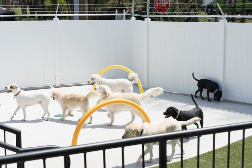 Best Friends Pet Hotel