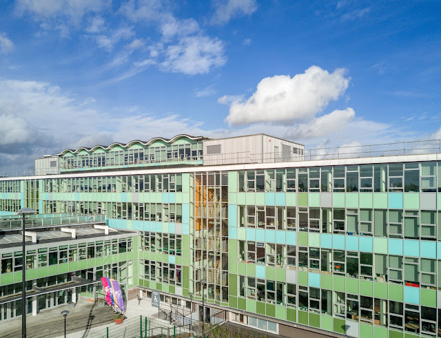 South West London Vineyard