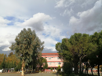 Manisa Lisesi