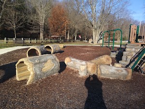 Christmas Run Park - photo 17