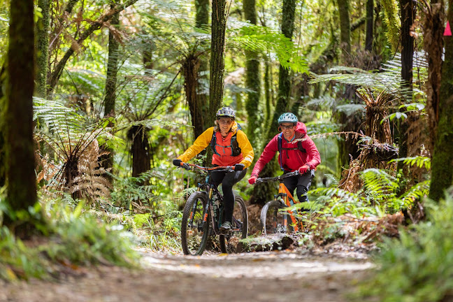 Top Gear Cycles - Taupo