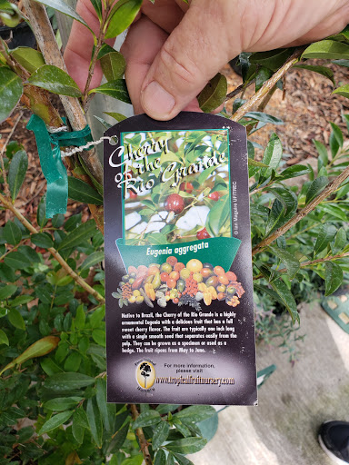 Hardware Store «Vision Ace Hardware», reviews and photos, 8538 Gunn Hwy #10, Odessa, FL 33556, USA