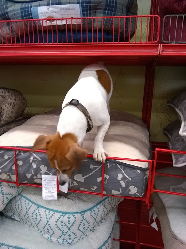 Pet Supply Store «Petco Animal Supplies», reviews and photos, 217 Oak Lee Dr #16, Ranson, WV 25438, USA