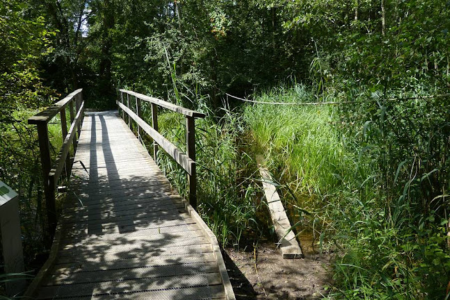 Thurauen Naturschutzgebiet - Campingplatz