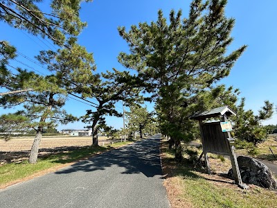 旧東海道松並木・袋井