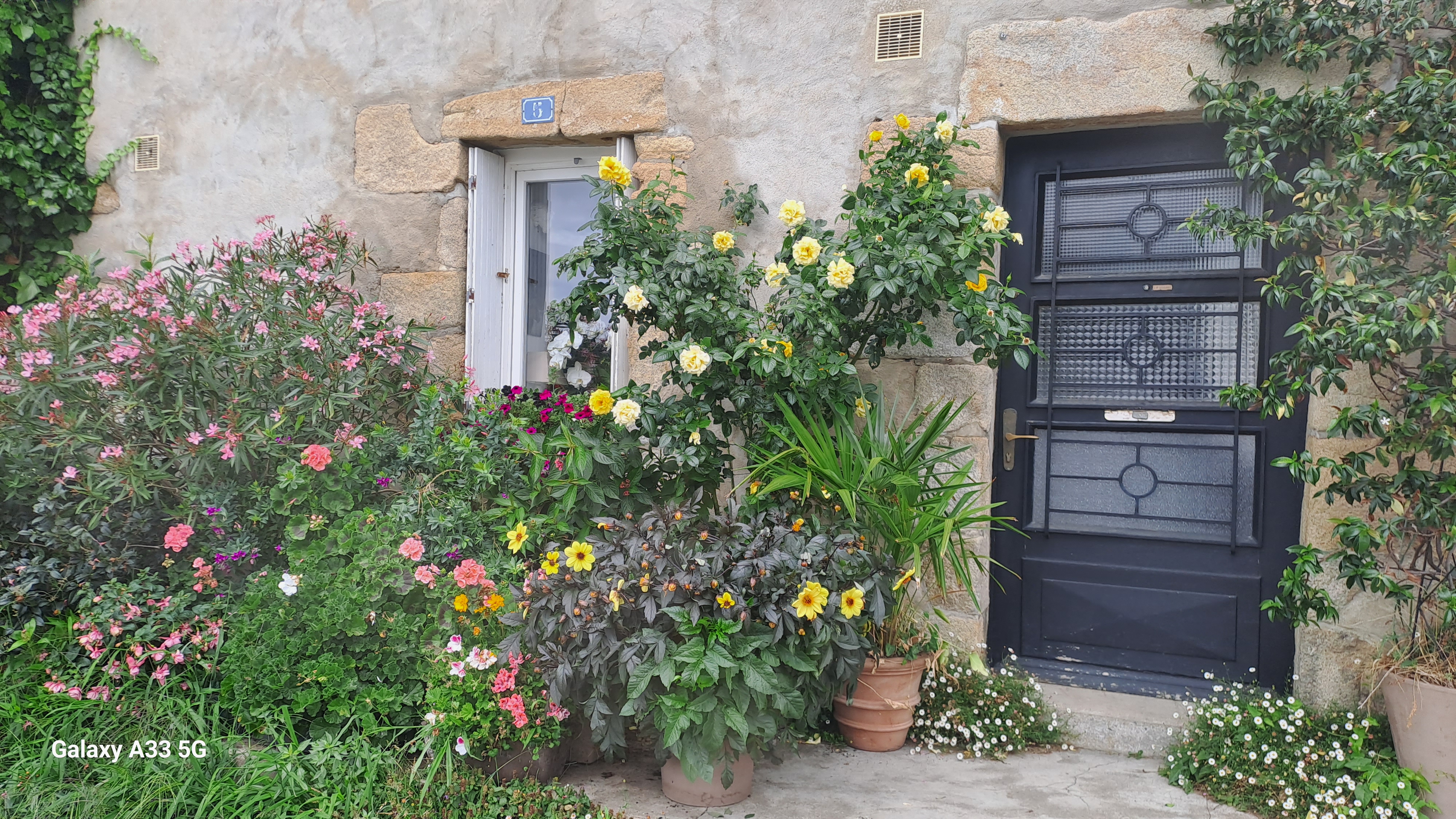 Photo n° 5 de l'avis de MARIE-PIERRE.I fait le 18/07/2023 à 15:17