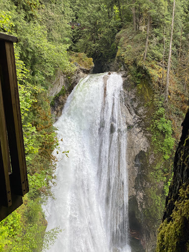 103 Bellevue Way NE # 4, Bellevue, WA 98004, USA