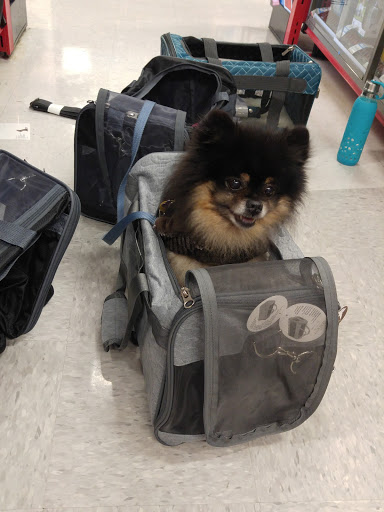 Pet Supply Store «Petco Animal Supplies», reviews and photos, 6425 Keizer Station Blvd, Keizer, OR 97303, USA