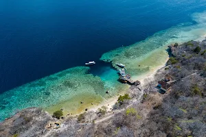 Menjangan Island Trip image