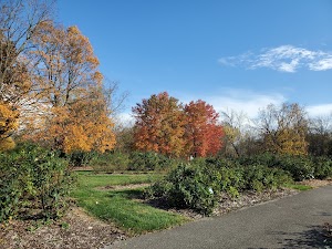 Columbus Park of Roses - photo 30