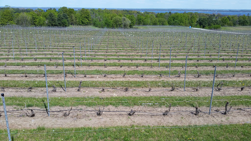 Winery «Brys Estate Vineyard», reviews and photos, 3309 Blue Water Rd, Traverse City, MI 49686, USA