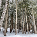 Photo n°2 de l'avis de Francesco. fait le 16/01/2024 à 18:02 sur le  Ristorante Saliola al Lago Ghedina à Cortina d'Ampezzo