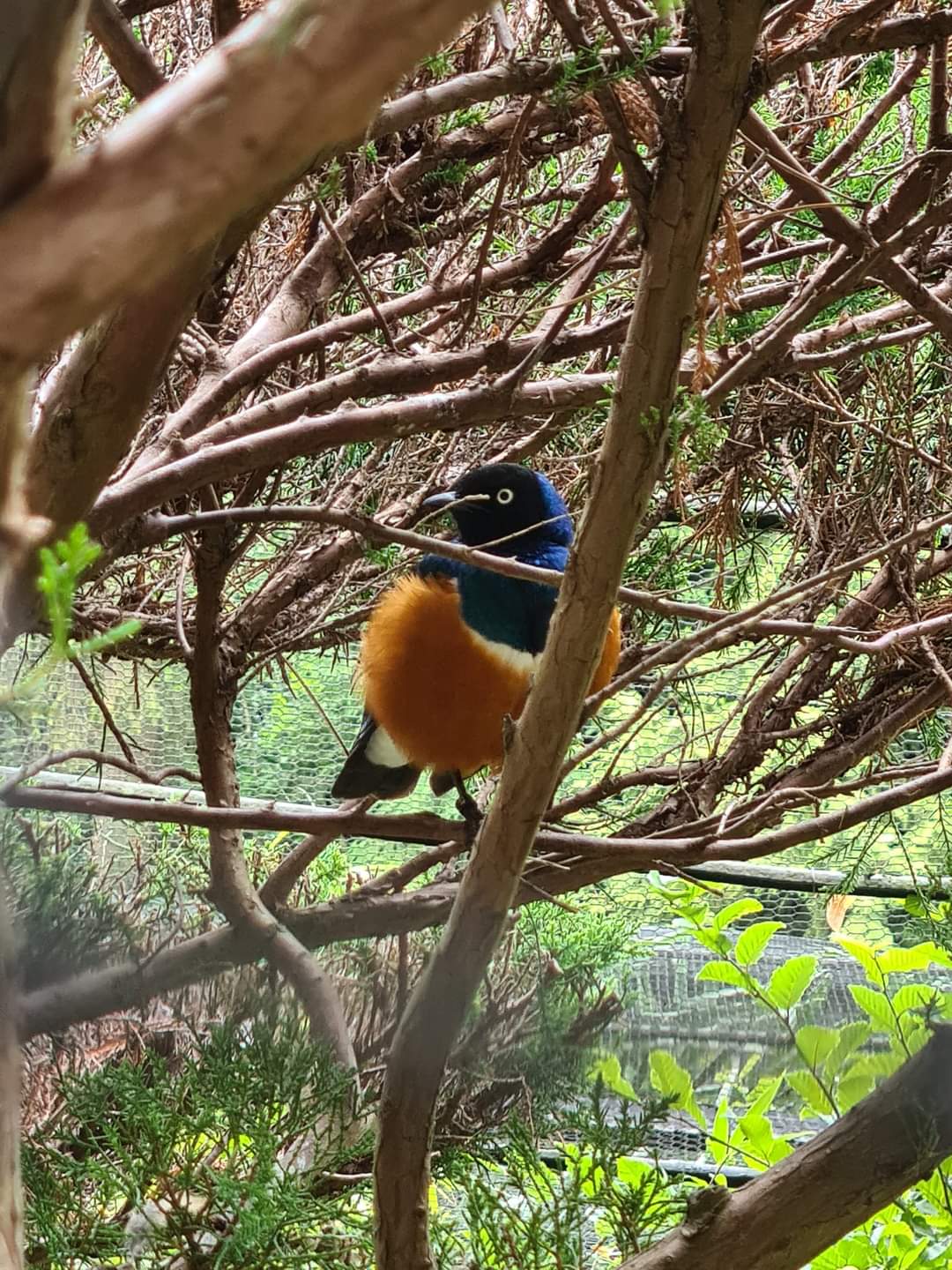Photo n° 22 de l'avis de Maïté.e fait le 03/08/2022 à 19:24