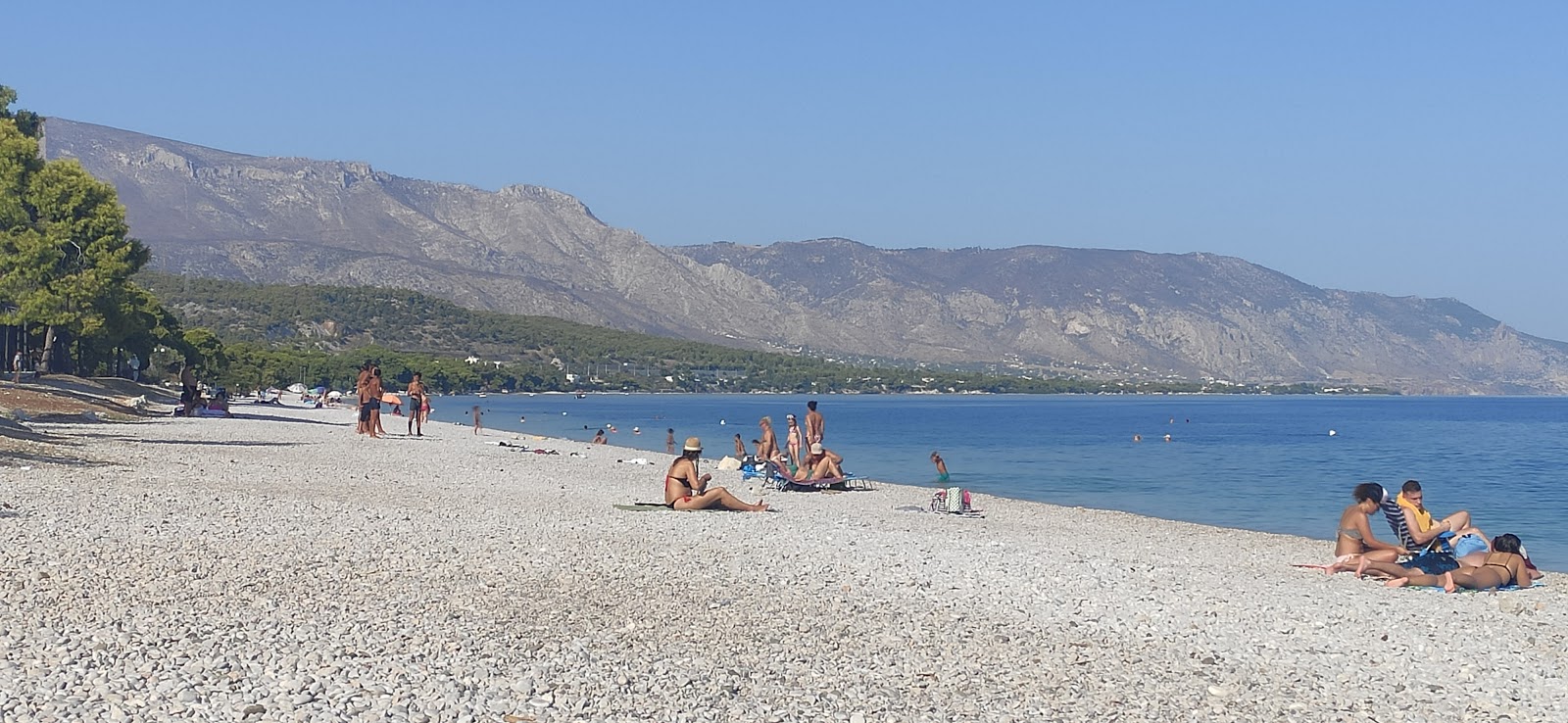 Fotografie cu Pine trees beach - locul popular printre cunoscătorii de relaxare