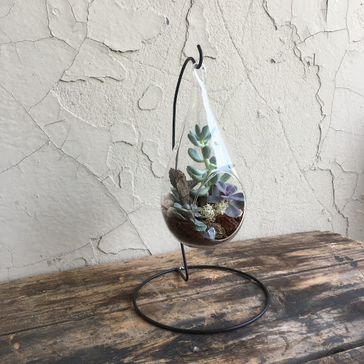 Wholesale Florist «Urban Jungle», reviews and photos, 2603 Sherman Ave NW, Washington, DC 20001, USA