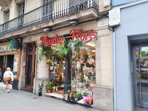 Floristeria Lloveras Barceló en Barcelona