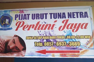 Klinik Pijat Urut Tuna Netra Pertuni Jaya image