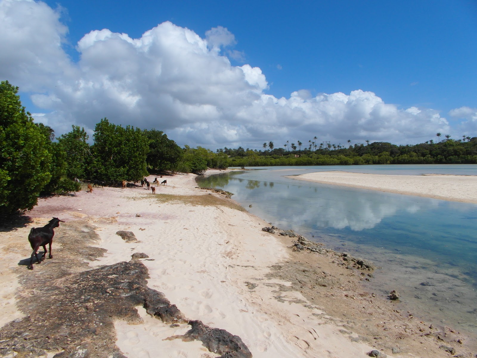 Tiwi Congo Beach photo #8