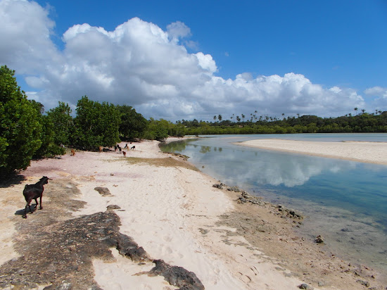 Tiwi Congo Beach