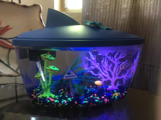 Pet Supply Store «PetSmart», reviews and photos, 2140 17th St, Santa Ana, CA 92705, USA