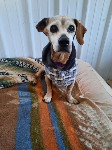 Liberty Acres United Rescue Animal Sanctuary