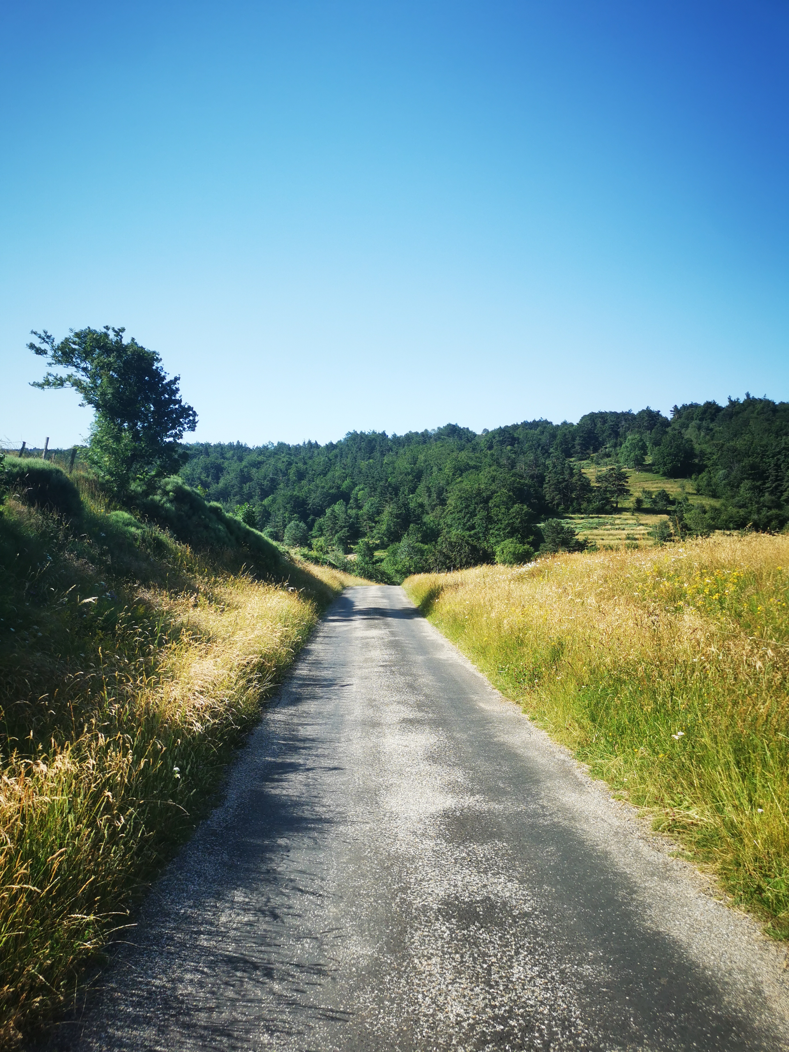 Photo n° 4 de l'avis de Seb. fait le 14/07/2023 à 04:55