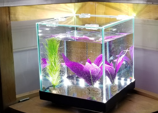 Pet Supply Store «Petco Animal Supplies», reviews and photos, 169 Parkingway, Quincy, MA 02169, USA