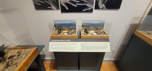 Natural History Museum «George B. Dorr Museum of Natural History», reviews and photos, 105 Eden St, Bar Harbor, ME 04609, USA