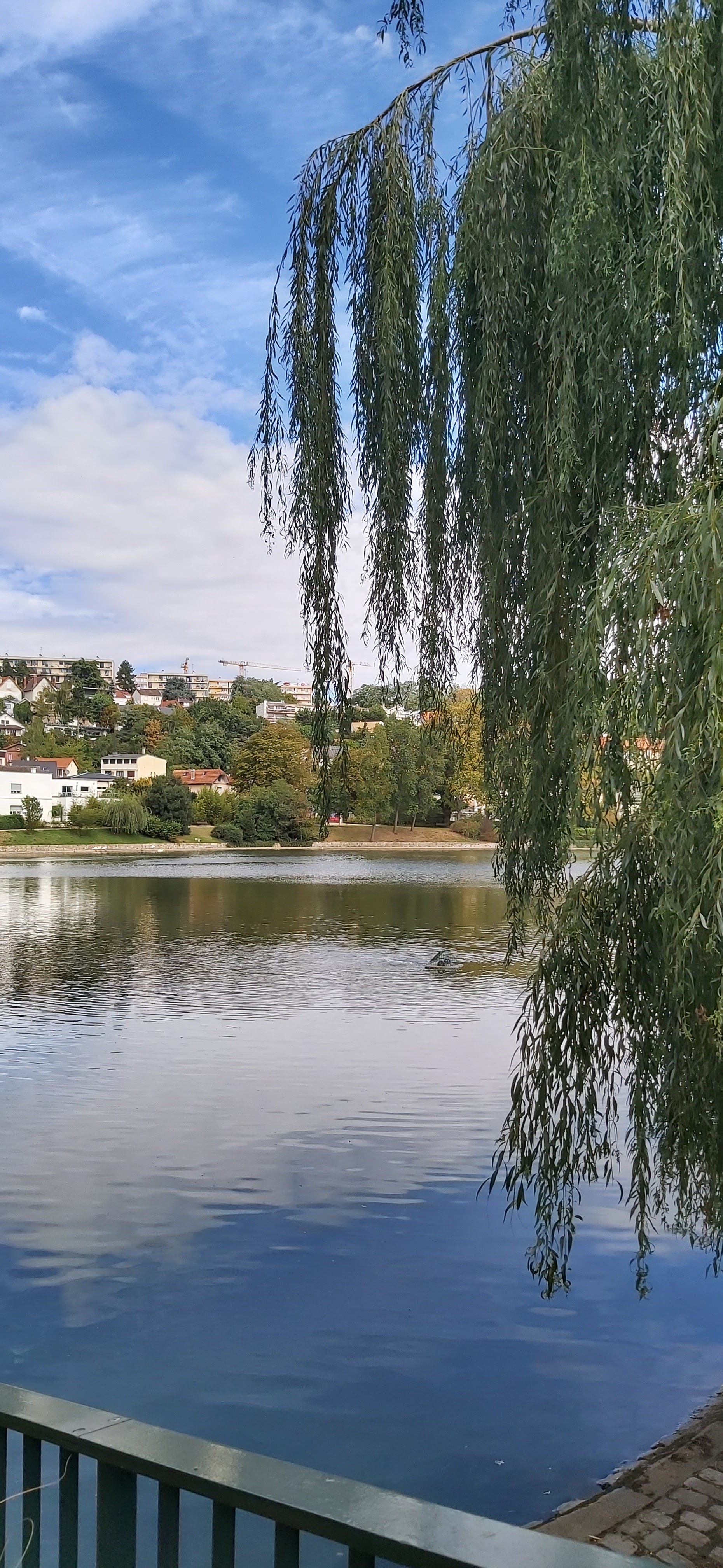 Photo n° 4 de l'avis de Sonia.I fait le 21/08/2020 à 12:20