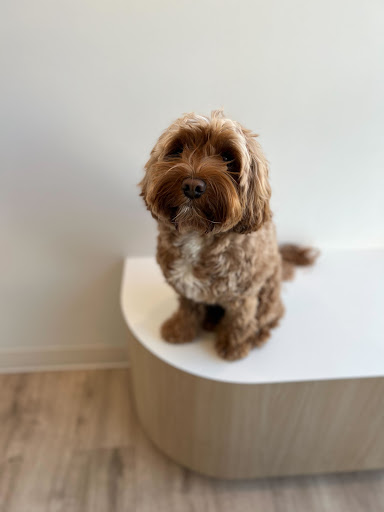 Petfolk Veterinary & Urgent Care