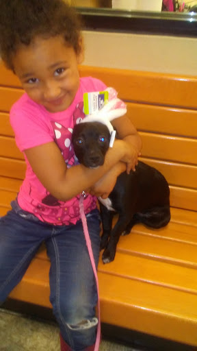 Pet Supply Store «PetSmart», reviews and photos, 1157 E North Ave, Belton, MO 64012, USA