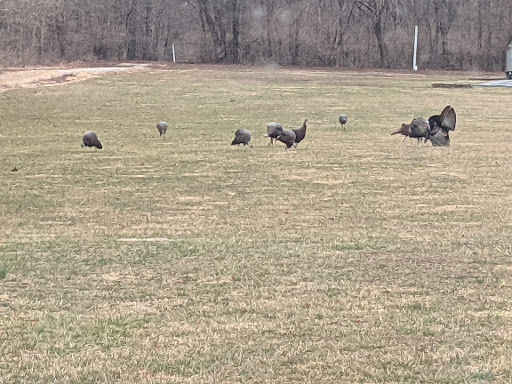 Park «Sodalis Nature Park», reviews and photos, 7700 S County Rd 975 E, Plainfield, IN 46168, USA