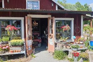 Broaskogs gårdsbutik och trädgårdscafé image