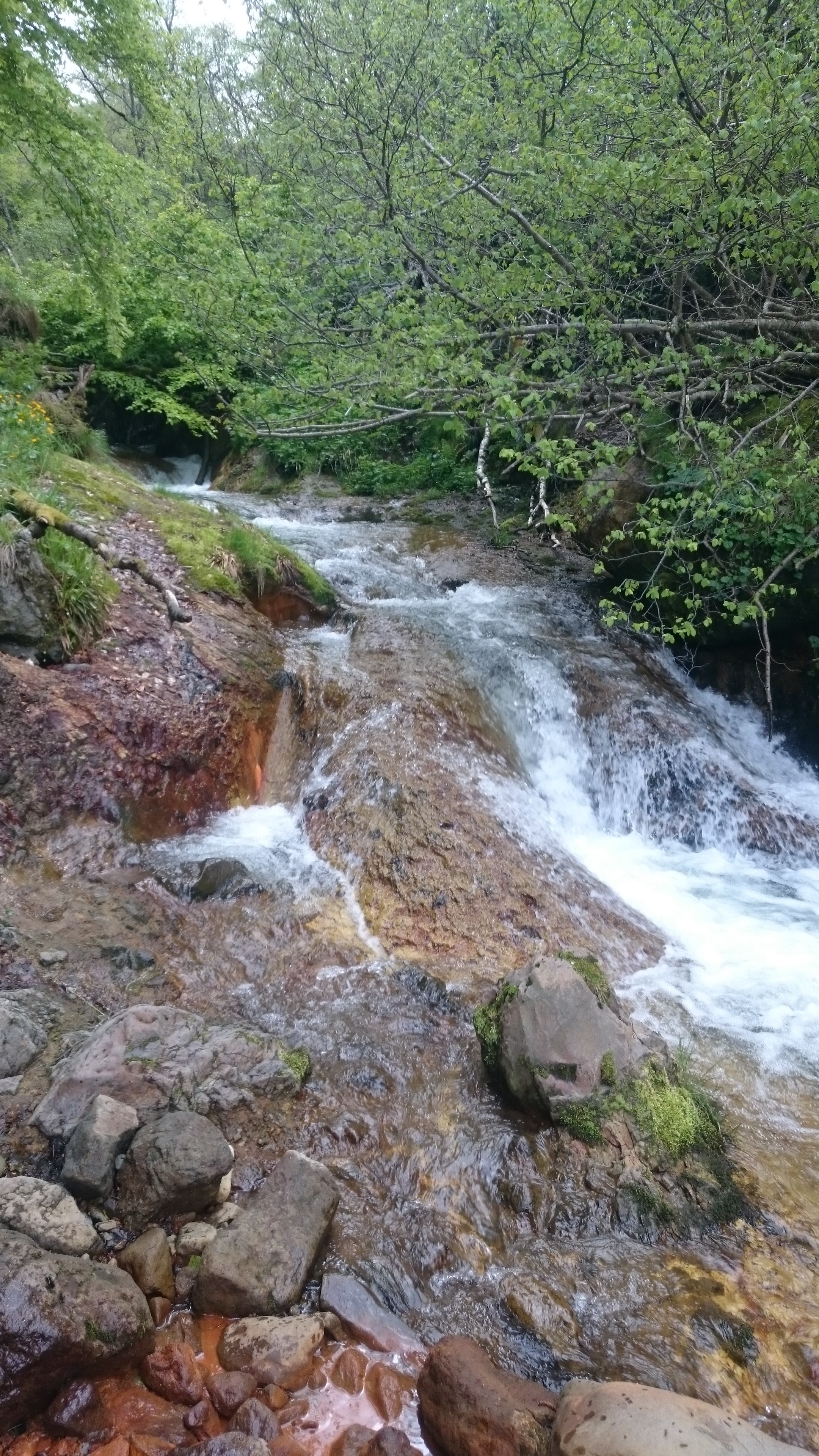 Photo n° 1 de l'avis de Jennifer.e fait le 24/05/2018 à 15:14